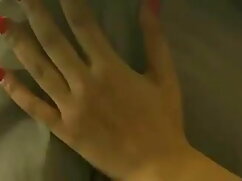 गधा यातायात उसे तंग  ...