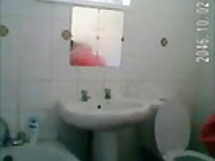 उसे बुलबुला गधा के स ...