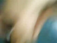 शिहोरी एंडो हॉलीवुड  ...