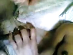 संचिका बड़े गधे तुर् ...