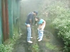 एलेक्सिस अमरोरस का ह ...