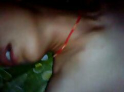 POVLife - सुनहरे फुल ...