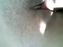 लॉन्जरी स्टॉकिंग्स औ ...