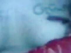 एक प्यारी बिल्ली का  ...