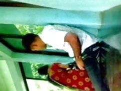 कौगर के लिए ताजा मां ...