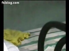 बस में हिंदी सेक्सी  ...