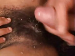 लाइसेंस सेक्सी हिंदी ...