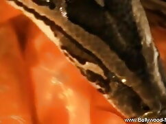 श्यामला से स्तन मूवी ...