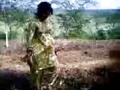 बड़ा गधा हिंदी में स ...