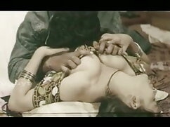 शिबरी टाईड एंड टोयड  ...