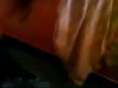 बाउंड्री स्क्विटिंग  ...