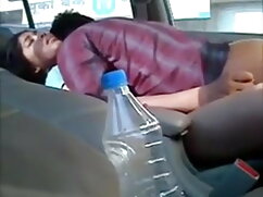 टिस के संरक्षक टिज़ि ...