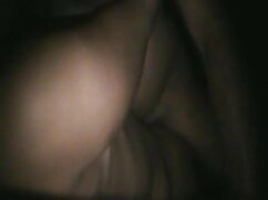 3-रास्ता ब्लिस हिन्द ...