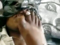 मोजा केसी कलवर्ट सवा ...