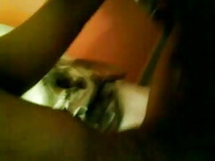 सुनहरे बालों वाली बी ...