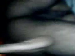 कट्टर पाउंडिंग के लि ...