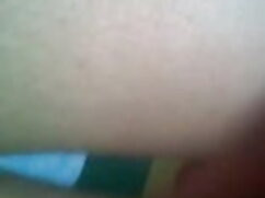 तेजस्वी रेड इंडियन स ...