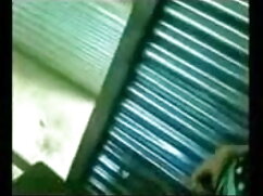 पागल ब्राइट गली में  ...