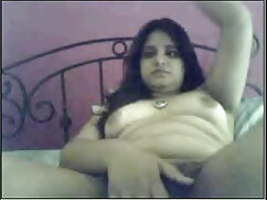 विशाल गधा, छोटे सेक् ...