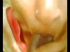 बिल्ली चाट के साथ कि ...