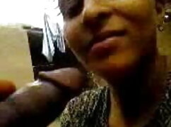 बेंच-लिटिल सनशाइन हि ...