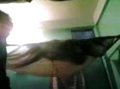 लिली रोमा बीएस 01021 ...