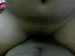 तांडव हिंदी इंग्लिश  ...