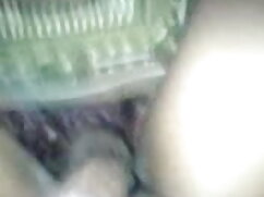 अंतिम कार नौकरी युवा ...