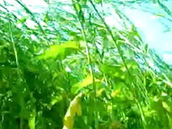 अपने GF को बेचें - उ ...