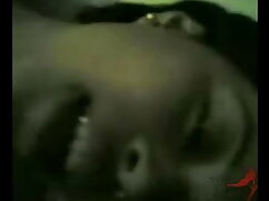 संचिका शिक्षक बस कैम ...