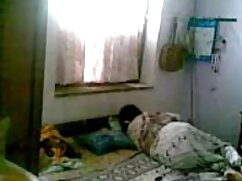 लेडी बर्गलर और एमआईट ...