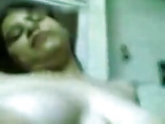 गधा यातायात सींग का  ...