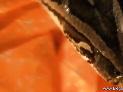 लड़की पुसी और गधे पर ...