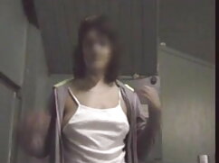 शॉर्टहेयर ब्रासिल चि ...