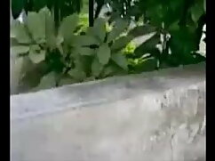 सहयोगी सनी लियोन सेक ...