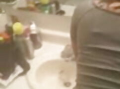 उसकी एशियाई बिल्ली क ...