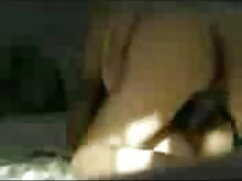 शॉर्ट हेयर ब्लॉन्ड र ...