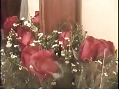 PINKO भोजपुरी सेक्सी ...